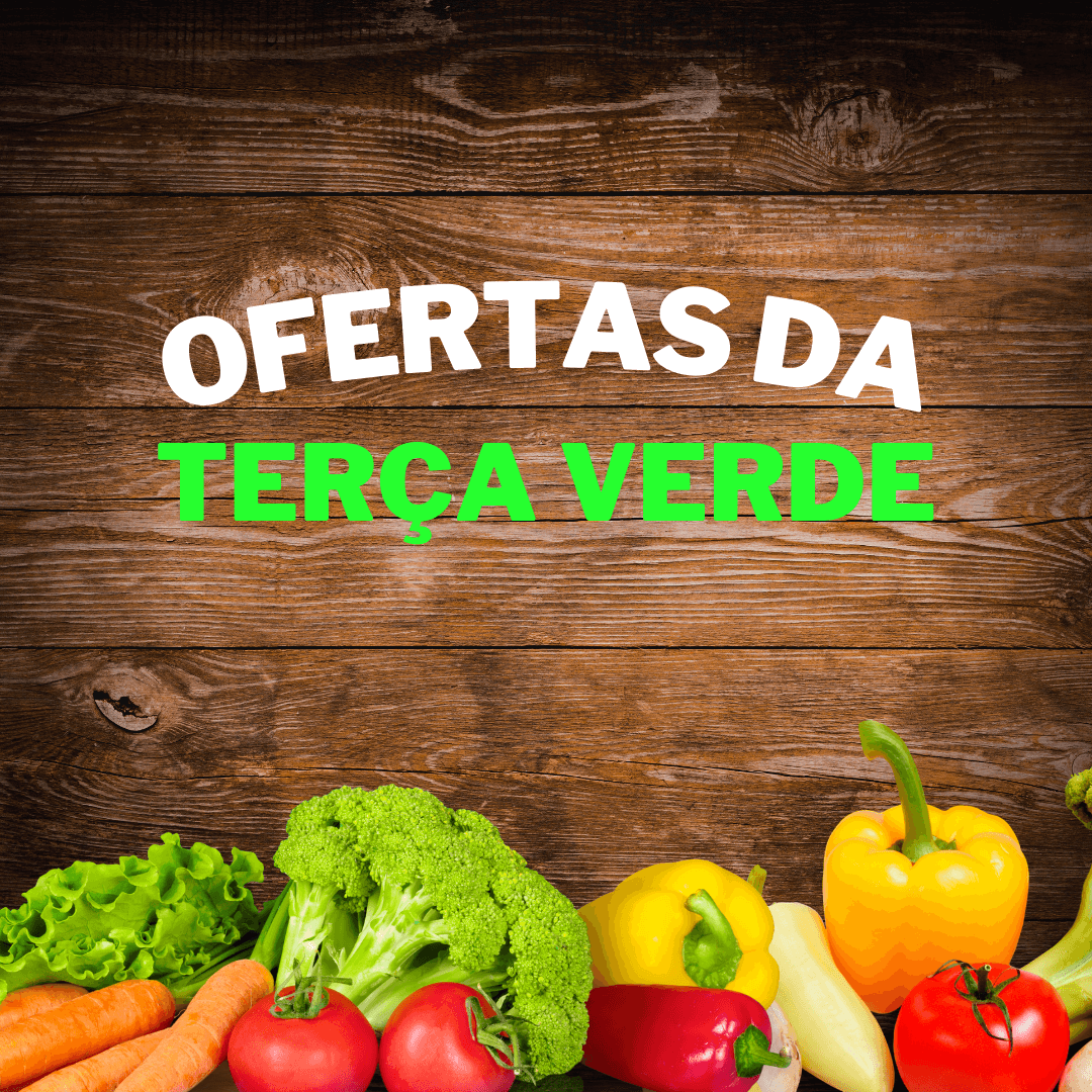 template de video animado no canva