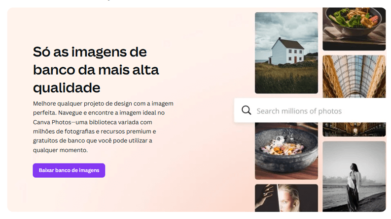 bancos de imagens elementos e vídeos do Canva